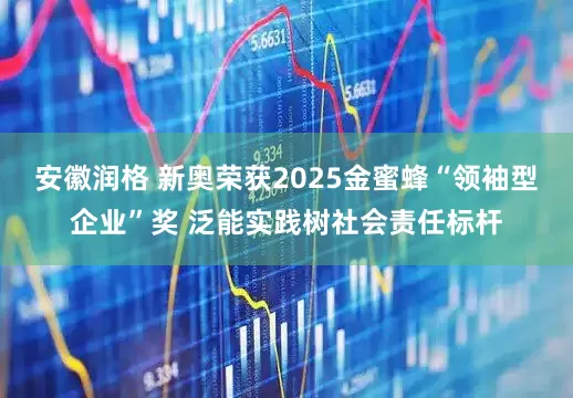 安徽润格 新奥荣获2025金蜜蜂“领袖型企业”奖 泛能实践树社会责任标杆